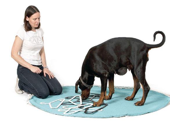 3 hersenwerk učí psa trpělivosti a sebeovládání, samozřejmě pejsek sedí, čeká a sleduje, kam mu pamlsky dáváte. Na váš pokyn pak může pamlsky vyzobat (obr. 2).