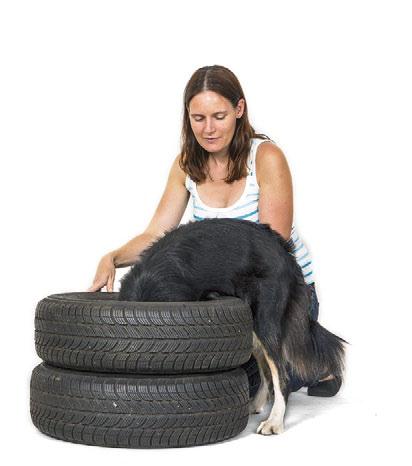 Prohledávání pneumatik je fyzicky náročné, pes musí svou