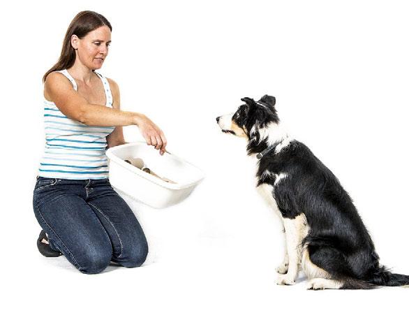 3 Pokud máte psy, kteří hojně slintají, tak se při práci s hlavolamem roličky snadno rozmočí nebo zdeformují. Takže si rovnou do zásoby střádejte další, ať můžete roličky v hlavolamu obměňovat.