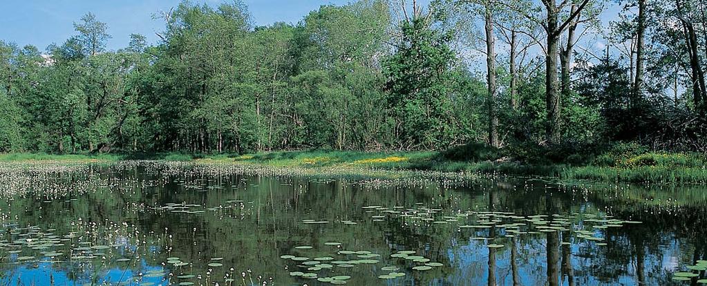 Okres Kolín obrácenou k západu a mírnû se svaïující, spra í pokryt protûj í svah orientovan k v chodu. Zvlá tní zmínky zasluhují bizarní Ïulové útvary na vrchu Klepec 358, m n. m. u Pfii imas.