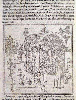 Francesco Colonna (1432/33 1527), Hypnerotomachia Poliphili, Nymfy s