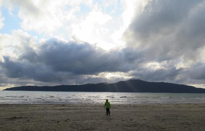 Beach. Byl vidět ostrov Kapiti Island.