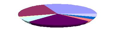 Graf 4: Zastoupení jednotlivých typů hendikepů Dělení dle hendikepu 23,53% 1,68% 6,72% 25,21% 31,09% 5,04% 3,36% 3,36% Mentální p. Tělesné p. Sluchové p. Zrakové p. Psychické p.