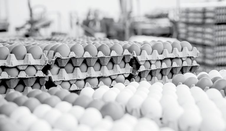 بررسی ساز و کارهای موثر بر کیفیت تولید تخم مرغ در صنعت مرغ تخمگذار مقدمه تخم پرندگان یکی از منابع اصلی پروتئین حیوانی در کشورهای توسعه یافته و در حال توسعه است.