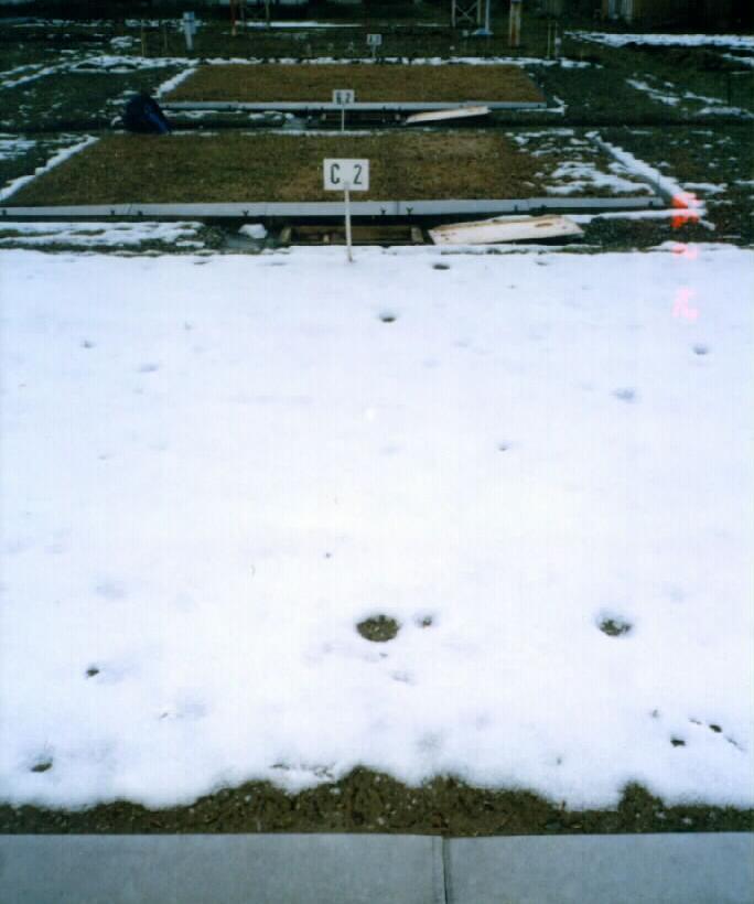 Měření zimních povrchových odtoků v Kníničkách (leden, 2003)