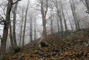 mapy.cz/s/eo7h) Domaslavické údolí je přírodní památka ležící v nadmořské výšce 570 až 855m.