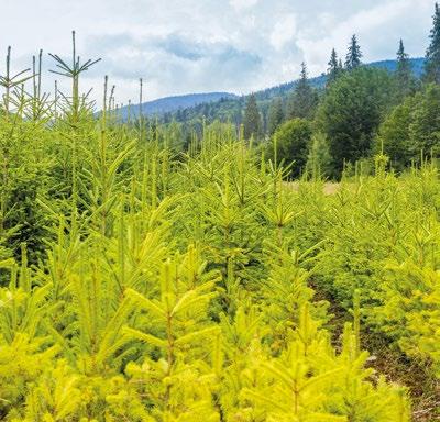 Správné uspořádání pracoviště výrazně ovlivňuje pohodu a produktivitu každého jednotlivce a zlepšuje jejich pracovní nasazení.