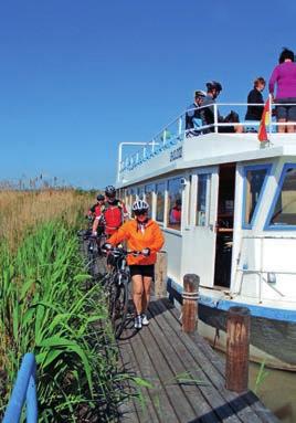 Neziderské jezero nabízí cykloturistům příjemné a pohodové výlety na kole. 11. 8.