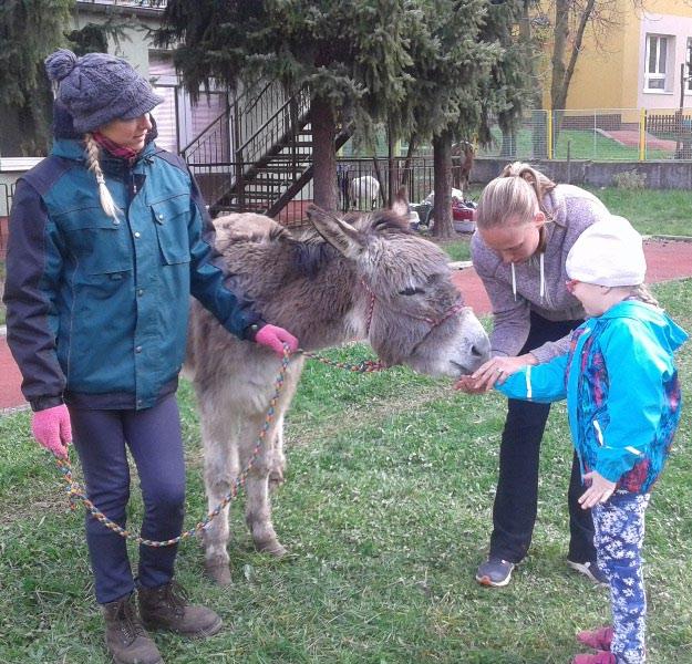 Tuto společenskou akci měla čest letos pořádat Základní škola Čestmíra Císaře Hostomice. Sportovní část se odehrála v tělocvičně.