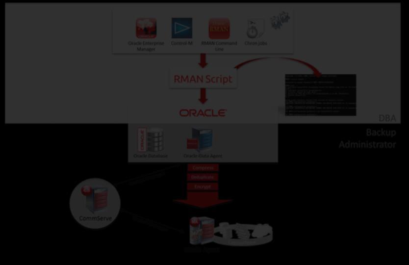 Ochrana databází Oracle Komplexní řešení pro ochranu databází Oracle Kompletní ochrana celé databáze Oracle a navíc granulární záloha a obnova specifických datových souborů a logů Plná nebo