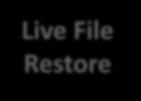 Mount Live File Restore Spuštění VM přímo ze zálohovací kopie Granulární obnova dat ze snapů, zálohy nebo archivu