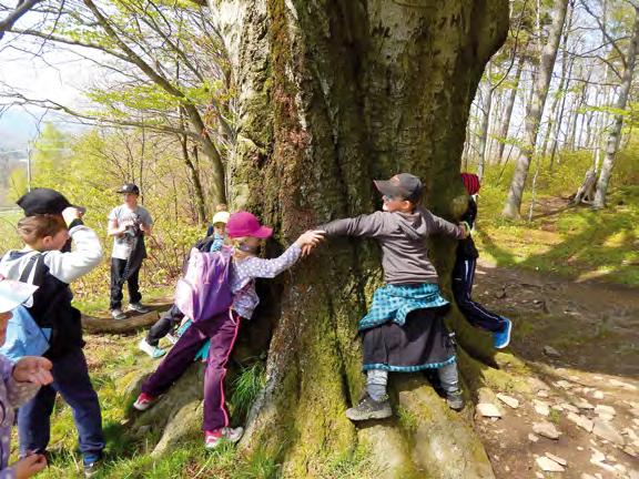 uvnitř i venku 4 hod. 40 Kč IX - X a V - VI 3. - 5. třída Základní škola I. stupeň Tam, v království stromů I.