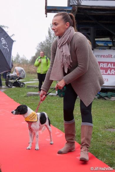 Pozvali jsme dalších 7 spřátelených spolků a každý z nich přivezl několik pejsků určených k adopci, případní zájemci se s nimi tak mohli seznámit naživo.