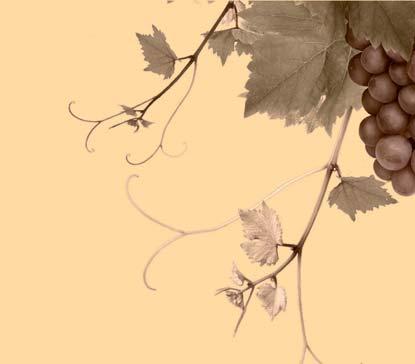 ODRŮDOVÁ JAKOSTNÍ VÍNA (0,75 l) 208 Kč Chardonnay Habánské sklepy. Víno světle žluté barvy se zelenými reflexy, odrůdově typické vůně s nádechem tropického ovoce.