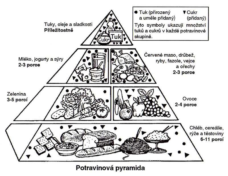 množství, v dalších patrech, která se postupně zužují, jsou potraviny, jichž se má denně konzumovat méně. (PÁNEK a kol.