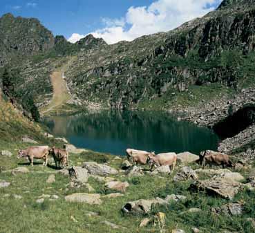 VALTELLINA ALPY A JEZERA VALTELLINA DOPORUČENÉ TRASY Z ČR CH MADESIMO CAMPODOLCINO CHIAVENNA Praha, Regensburg, München, Garmisch - Partenkirchen České Budějovice, Dolní Dvořiště, Linz, Salzburg,