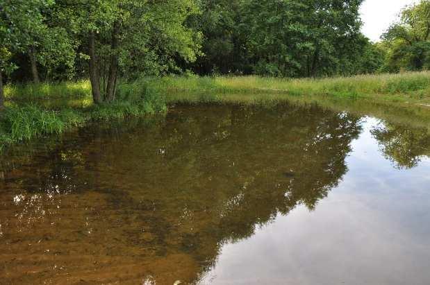 Tůně popis, přínos a náležitosti - nejen pro