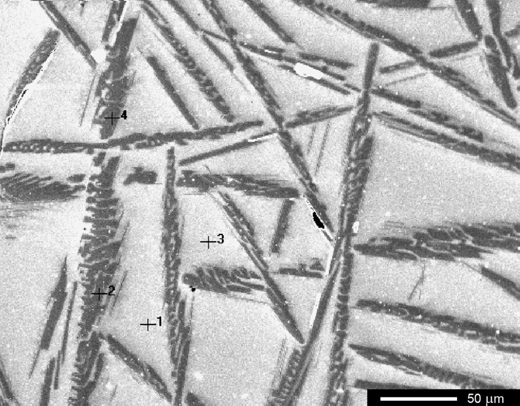 222 Bull. mineral.-petrolog. Odd. Nár. Muz. (Praha) 24, 2, 2016. ISSN 1211-0329 (print); 1804-6495 (online) Obr. 8 Sn-struska (vzorek č. 201) s vyznačenými analyzovanými body (tab. 3). BSE foto M.