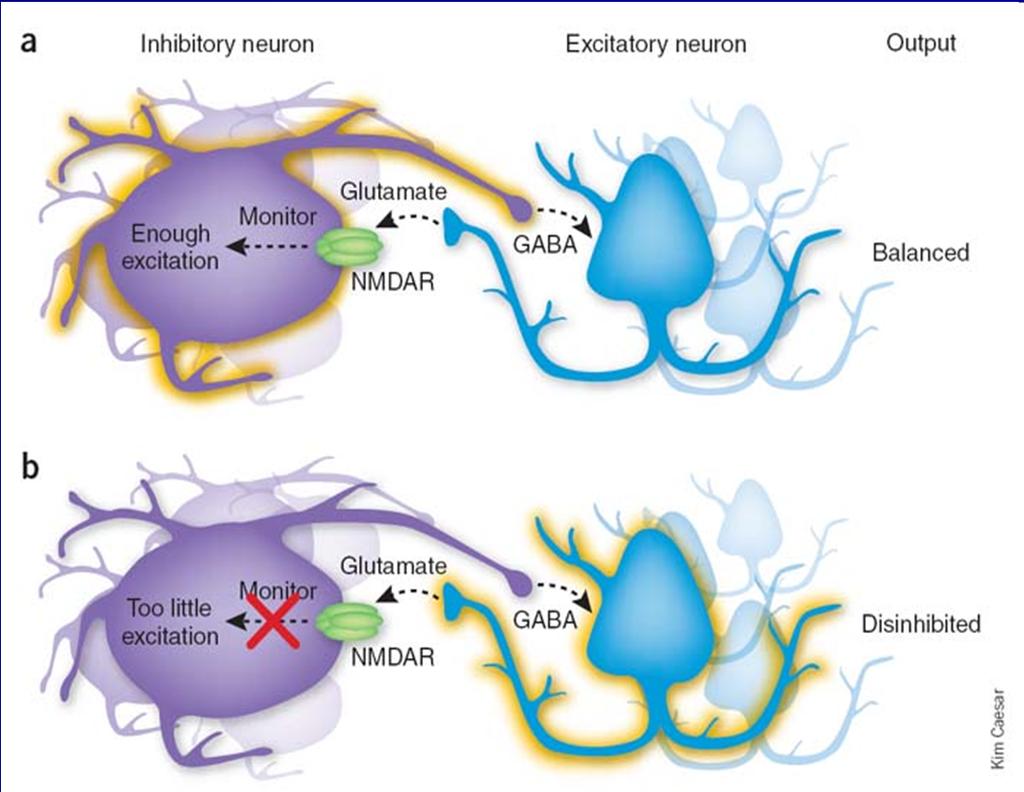 Glutamát a schizofrenie Naopak, snížená funkce glutamátergního neuropřenašečového systému je dnes pokládána za jeden z možných faktorů patogeneze schizofrenie (tzv.