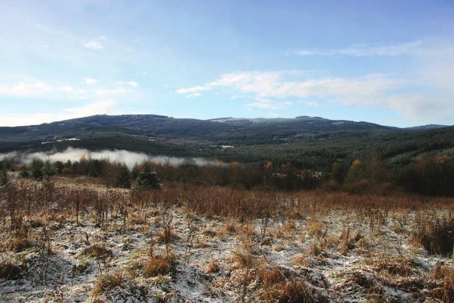 12 úvodem Šumava je jedním z posledních míst pro nerušený život velkých savců. Foto P.