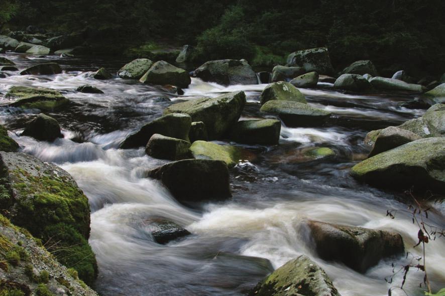 52 byla pozorována až do 1200 m n. m. (Rokytecká slať, Luzenský potok, Roklanská nádrž). Současná šumavská populace je odhadována dlouhodobě na 300-350 jedinců.