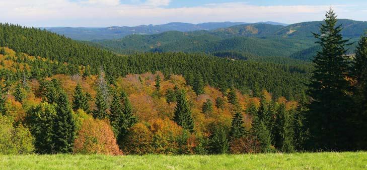 chráněná příroda 1 Péče o přírodu a krajinu Chráněná krajinná oblast Beskydy chrání přírodu a všechny hodnoty krajiny.