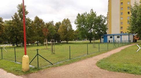 Zdroj: foto autorka Nově vzniklá psí loučka se u občanů nesetkala s úspěchem a stále zeje prázdnotou.