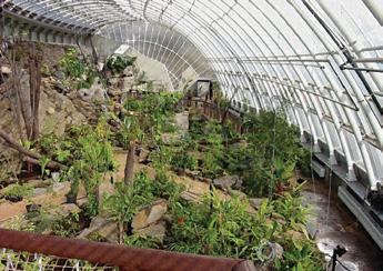 BOTANICKÉ ZAHRADY nebo dýňový koláč či francouzský quiche. Chybět nebude vámi oblíbená Čajovna u cesty nebo paštiky, které si můžete namazat na výborné pečivo.