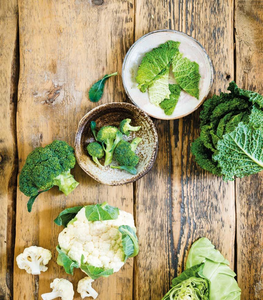 Brokolice Hledáte-li spojence pro dietní režim, můžete se rozhodně spolehnout na brokolici. Obsahuje minimum kalorií, zato je bohatá na vitamín C a K, minerální látky a samozřejmě vlákninu.