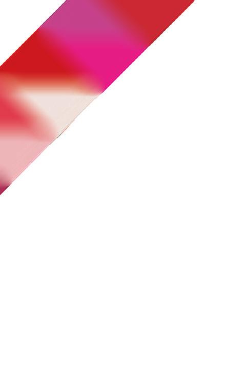 XXV.