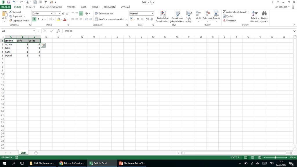 Rychlá práce v MS Excel ve Windows Základní práce s klávesnicí Použití klávesových zkratek vám ušetří klidně hodinu denně. nemusíte jich umět moc, stačí jich zvládat několik: 1.