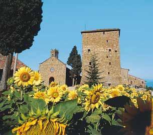 Vecchio. Odjezd na ubytování. 3. den: návštěva Pisy. Navštěva Campo dei Miracoli (Pole zázraků) se známou šikmou věží a Dómem. Fakultativně výstup na šikmou věž.