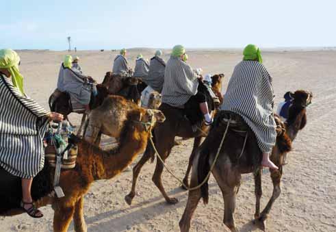 [TBJ ] Berberský jih Tuniska a magická Sahara Djerba Tataouine Douiret Chenini Ksar Guilaine Matmata Douz Chot El Jerid Tozeur Nefta Chebika Tamerza Mides Metlaoui Gafsa Gabes Mareth > TUNISKO TUNIS