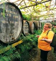 den: po snídani odjezd na vyhlídku Pico da Torre s krásným výhledem na rybářskou vesničku Camara do Lobos a Funchal, přejezd mezi vinicemi a banánovými plantážemi na druhý největší útes v Evropě Cabo