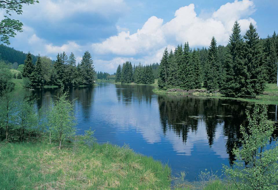 âeskobudûjovicko OKRES âesk KRUMLOV Jifiická klausura, vodní nádrï vybudovaná uï v r. 58 na Pohofiském potoce v jiïní ãásti Novohradsk ch hor u Pohofií na umavû, pozdûji vyuïívaná pro plavbu dfieva.