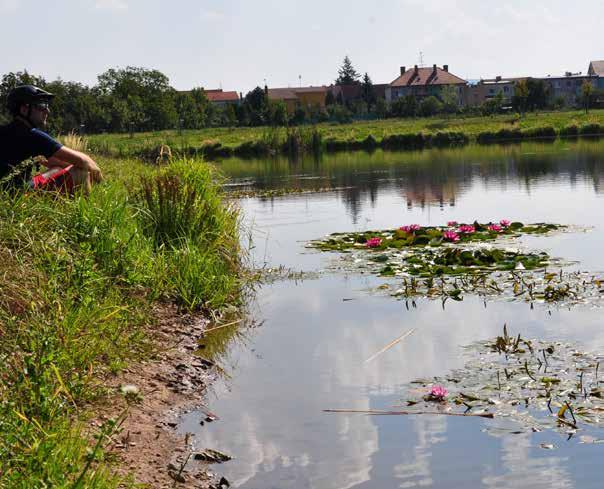 SUDOMĚŘICE Ubytování Penzion Pod Va penkami Tel.: 739 052 348 Ubytova ní U Opavských Tel.: 518 335 209 Starý potok Tel.