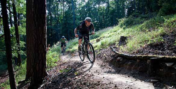 OBSAH 2-3 Cykloresort Stra z nicko 4-5 Mountainbikové okruhy 6-7 Hroznova Lhota 8-9 Kněz dub 10 11 Kozojídky 12 13 Petrov 14 15 Radějov 16 17 Pumptrack 18 19 Stra z nice 20 21 Sudoměřice 22 23 Tasov