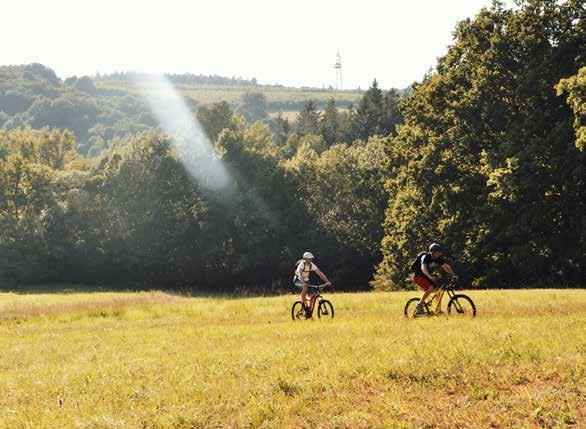 Cykloresort Strážnicko skvěle hodí pro všechny bikery od začátečníků přes rodiny až po trailové experty.