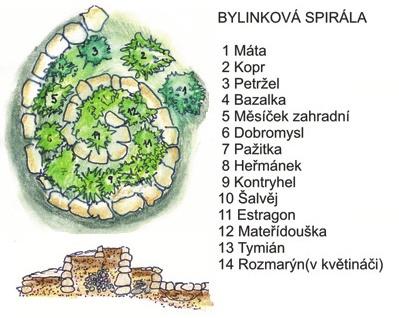 NÁVRHOVÁ ČÁST Záhony s ovocnými/jedlými keři, mulčované dřevní štěpkou zabírají plochu o velikosti 540 m2.