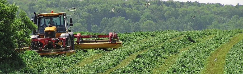 Vážení obchodní přátelé, dovolujeme si Vám předložit naši nabídku certifikovaných osiv široké škály odrůd domácí i světové provenience.