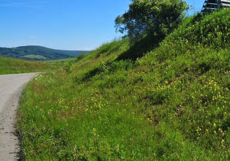 potlačení trav podporuje růst