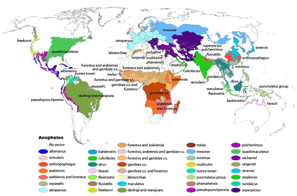 Obrázek 73 Rozšíření hlavních a potenciálně důležitých přenašečů malárie Zdroj: (CDC, 2004) Viscerální leishmanióza, která se může rozšířit na sever Evropy, je onemocněním přinášeným písečnými