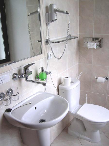 VYBAVENÍ POKOJŮ koupelna (sprchový kout nebo vana) s WC, vysoušeč vlasů, satelitní TV, telefon s přímou volbou, připojení k internetu (Wi-Fi), minibar na