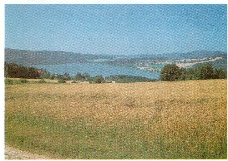 49 Přehrada Lipno na Šumavě Ukažte na mapě celý tok řeky Labe a Vltavy. Najděte na řece Vltavě přehradní nádrže. Vyjmenuj je. Vyhledejte na mapě některé další přítoky Labe a Vltavy.