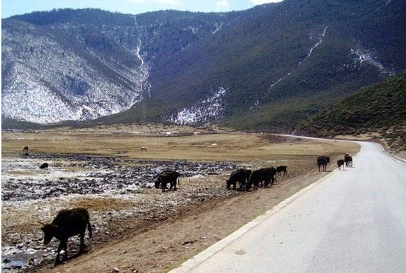 tedy směrem k hranicím Tibetu. Cílem je tibetské horské městečko Siang-ke-li-la neboli Šang-ri-la ( 香格里拉 ).