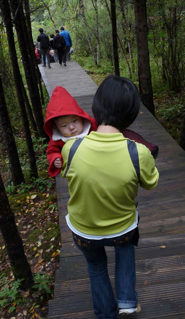 Národní park byl silně poškozen došlo k několika velkým sesuvům půdy, rozsáhlým lesním polomům, narušeny byly terasy dna v údolích a celý vodní režim rezervace.