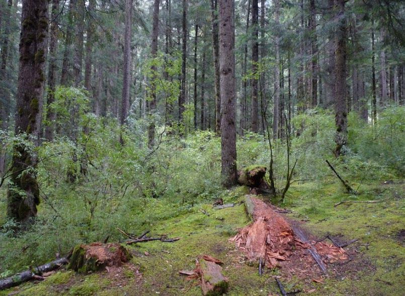 Ťiou -čaj-kou už nikdy nebude jako dřív; změní se vodoteče i cesty, nová jezera dostanou nová jména. Ťiou-čaj-kou už nikdy nebude jako dřív.