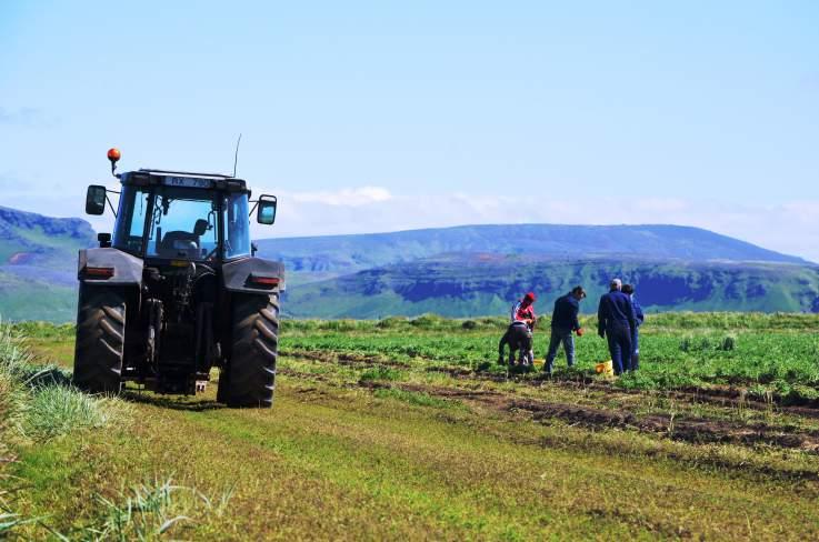 NAŠE PROJEKTY A DALŠÍ AKCE 6 Workcampů 6 neziskových organizací 6 campleaderů 39 dobrovolníků (včetně campleaderů, z toho 31 účastníků ze zahraniční) 1 841 dobrovolnických hodin a navíc 87