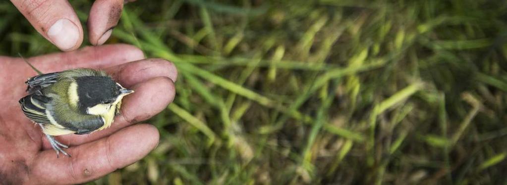 Tamjdem, o.p.s. právní statut: obecně prospěšná společnost spisová značka: O 1436 vedená u Městského soudu v Praze den zápisu: 26. 02.