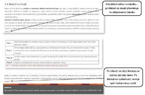 i při rolování v textu je stále možnost prolinku na předchozí/další podkapitolu. Pod stromovou strukturou se nachází seznam elearningových testů, pokud ke kapitole existují.